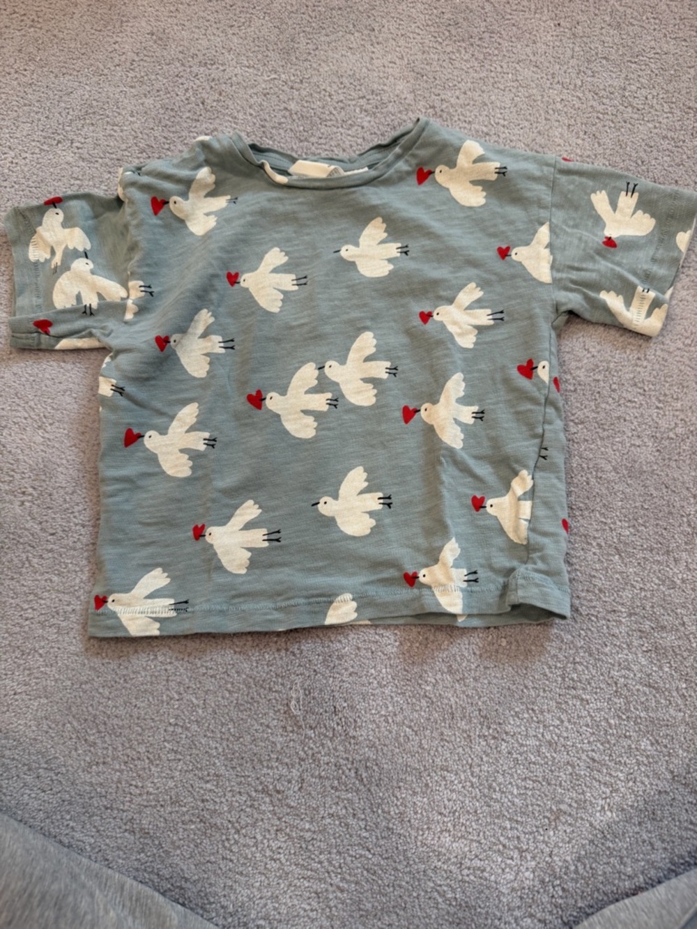 H&M kids Blue Short Sleeve Tee with White Dove and Red Heart Print
